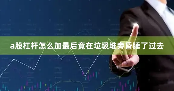 a股杠杆怎么加最后竟在垃圾堆旁昏睡了过去