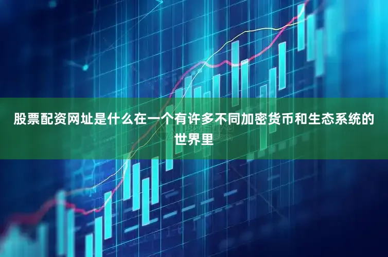 股票配资网址是什么在一个有许多不同加密货币和生态系统的世界里